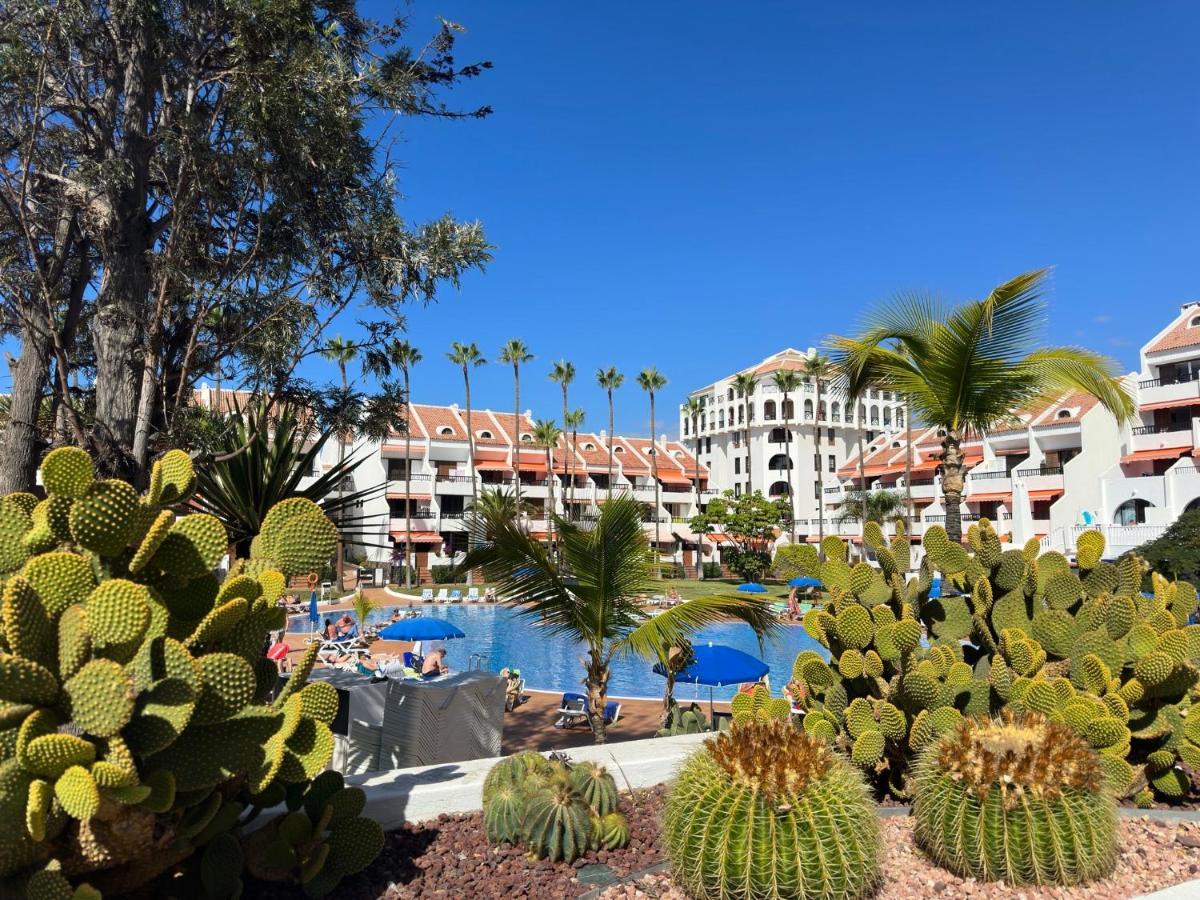 Апартаменти Parque Santiago II , Renovated, Ocean View, Heated Swimming Pool ! Плайя-де-лас-Амерікас Екстер'єр фото